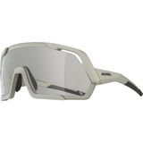 Ochelari ALPINA ROCKET V cool-grey matt