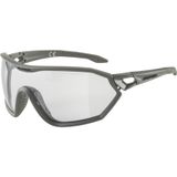 Ochelari ALPINA S-Way V moon-grey matt