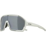 Ochelari ALPINA BONFIRE Q-LITE cool-grey matt