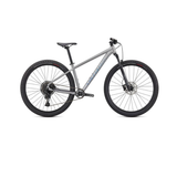 Bicicleta Specialized Rockhopper Expert 29, 2021, Satin Silver Dust / Black Holographic