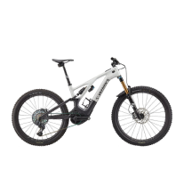 Imagine Categorie pentru Bicicleta electrica Imagine Categorie pentru Bicicleta electrica