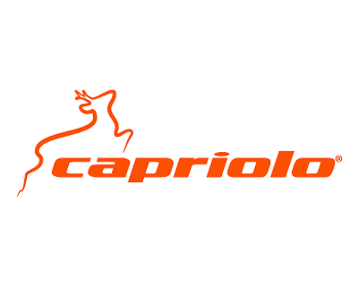 Capriolo