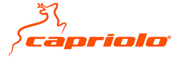 Capriolo